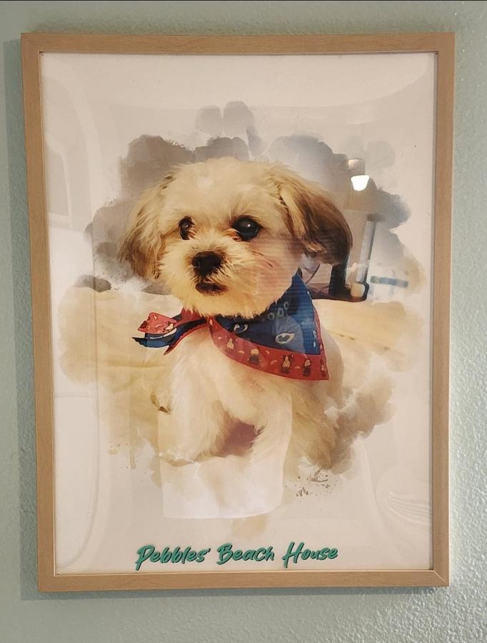 Pebbles' Beach House Edinburg Exterior photo